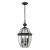 Ashford 3-Light Hanging Lantern