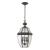 Ashford 3-Light Hanging Lantern