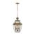 Ashford 3-Light Hanging Lantern