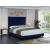 Elly Velvet Queen Size Bed
