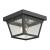 Springfield 2-Light Small Flush Mount