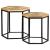Adger 2-piece Wood/Iron Hexagon Nesting Tables