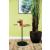 Ginevra Wood Round Accent Table with Marble Base