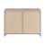 Enoch 2-door Accent Cabinet
