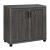 Filch 2-door Wood Veneer Accent Cabinet