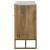 Keaton 2-door Wood Accent Cabinet with Marble Top