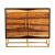 Zara 2-door Wood Accent Cabinet
