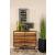 Zara 2-door Wood Accent Cabinet