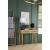 Zamora Rectangular 2-drawer Accent Writing Desk