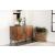 Macon 2-door Wood Veneer Accent Cabinet