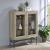 Bonilla 2-door Wood Veneer Accent Cabinet with Glass Shelves
