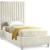 Candace Velvet Twin Size Bed