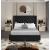 Barolo Velvet Full Size Bed