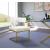 Alexandra Velvet Dining Chair with Gold Metal Base