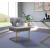 Alexandra Velvet Dining Chair with Gold Metal Base