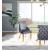 Tuft Velvet Dining Chair