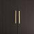 Orinfield 2-Door Accent Cabinet | Dark Brown & Gold Storage