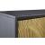 Tayner 2-Door Accent Cabinet | Luxe Black & Gold Storage