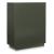 Geirwood 2-Door Accent Cabinet | Dark Green & Gold Statement