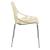 Asbury Polypropylene Dining Chair