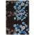 Avalisa Wool Rectangular Rug, Composition 1