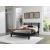 Danziar MDF/Wood Veneer Slat Panel Bed, Full Size