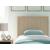Cielden MDF/Plywood Panel Bed