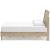 Cielden MDF/Plywood Panel Bedroom Set