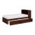 Rowe Wood/Wood Veneer Bookcase Bed w/ Storage Boxes, Twin Size