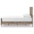 Rusticott MDF Panel Bed, Queeen Size