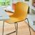 Baltic 2 Basic Sledge Chair