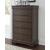 Leewarden Wood Chest w/5 Drawers