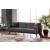 Flexy Fabric Storage Sleeper Sofa In a Box