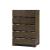 Colosse Wood Chest