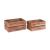 Oysters & Clams Boxes (Set of 2)