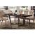 Elite NET Rectangular Wood/Metal Dining Table w/2 Extentions