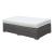 Somani Bench