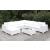 Somani Fabric/Faux Rattan Customizable Patio Sectional Set