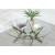 Alvise Glass/Steel Round Coffee Table Set