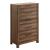 Hankinson Wood Chest w/5 Drawers