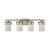 Ravendale 4-Light Bath Lamp