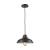 Classic Loft 1-Light Pendant