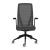 D-Chair Task Office Chair w/Black Frame & Base