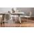 Ines Venice Fabric/Metal Dining Chair