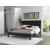 Danziar MDF/Wood Veneer Panel Bedroom Set