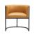 Cosmopolitan Faux Leather Dining Chair