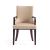 Shubert Faux Leather/Velvet Dining Armchair 