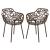 Devon Outdoor Aluminum Dining Arm Chair (Set of 2)