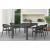 Alum Outdoor Extendable Dining Set w/Leyla Armchairs