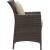 Conduit Outdoor Patio Wicker Rattan Dining Armchair